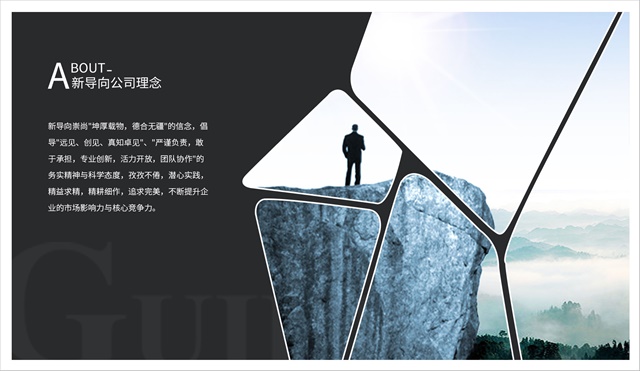 新导向的品牌策划 信息系统集成服务的战略价值